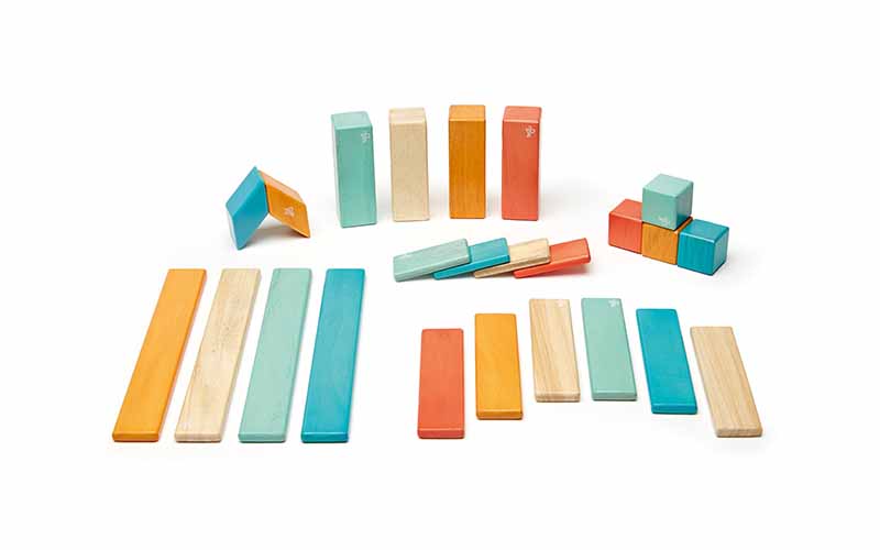 Blocs de construction magnétiques de Tegu  24 blocs de construction  magnétiques en bois pour enfants –